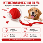 Interaktywna czerwona piłka z liną dla psa i kota – najważniejsze cechy