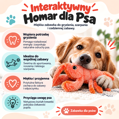 Interaktywny Homar dla psa — opis produktu i jego cechy
